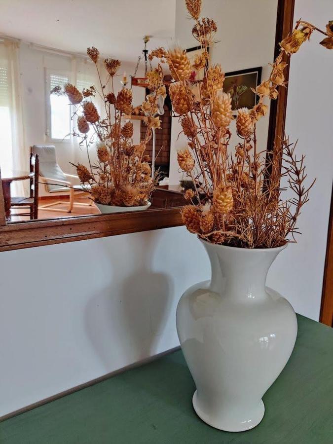 Apartamento Rural El Vidre Vt-42035-Cs Vistabella del Maestrazgo Eksteriør billede